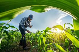 Agriculture